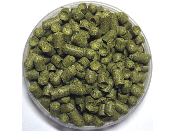 啤酒原料 啤酒原料