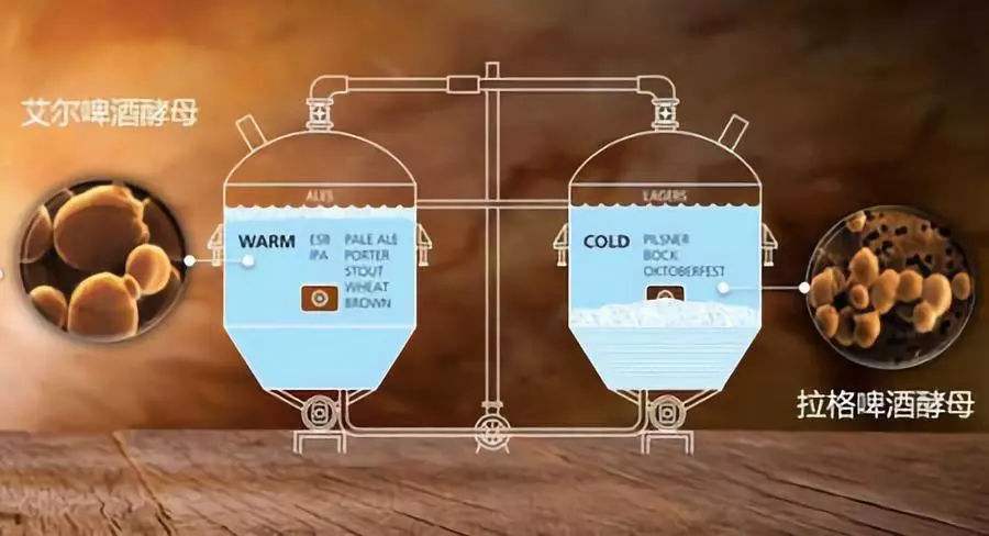 啤酒發(fā)酵設(shè)備 啤酒發(fā)酵設(shè)備